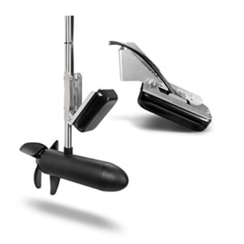 Panoptix? PS31