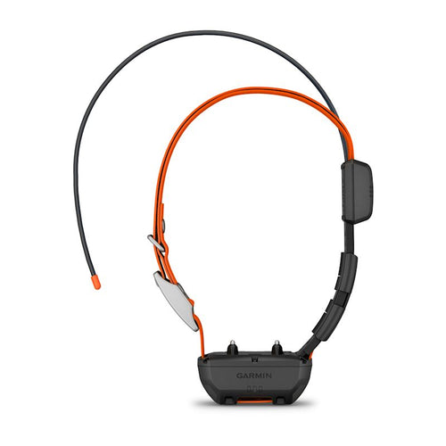 Alpha? TT 25 Dog Collar