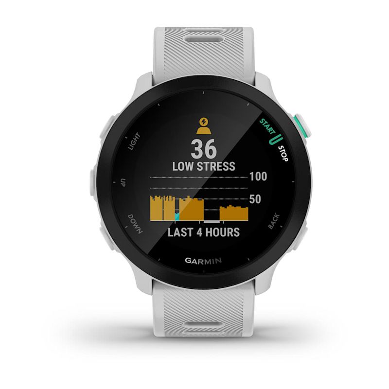 Forerunner? 55
