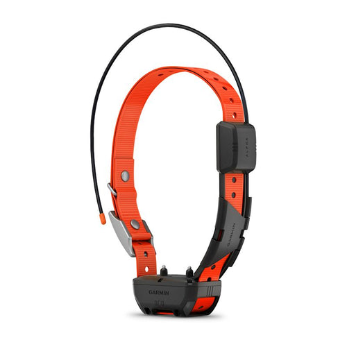 Alpha? TT 25 Dog Collar